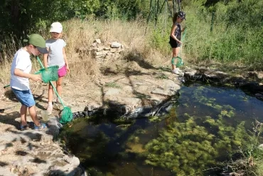 Vacances d'été - 27 au 31 août 2018