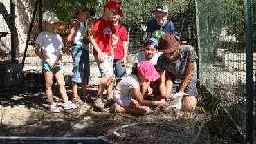 Vacances d'été - 25 au 29 juillet 2016