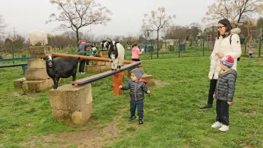 Matinée Parents 1-02-2020
