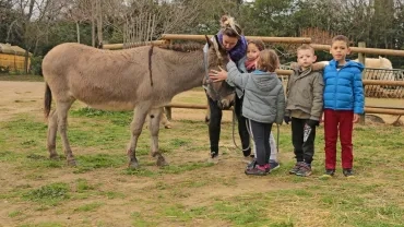 Vacances de Noël - 30 décembre au 3 janvier 2020
