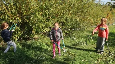 Mercredis d'octobre 2016