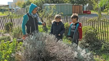 Mercredis de novembre 2019