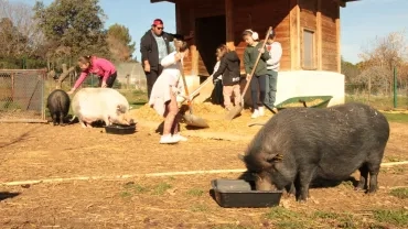 Vacances d'hiver - 12 au 16 février 2024