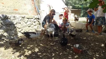 Vacances d'été - 28 au 29 juillet 2022
