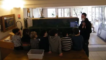 Vacances de Noël - 28 au 31 décembre 2020