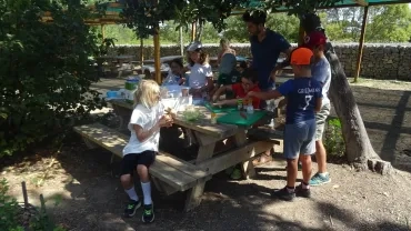 Vacances d'été - 22 au 26 août 2022