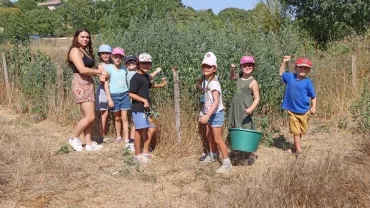 Vacances d'été - 18 au 22 juillet 2022