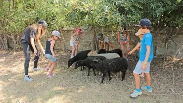 Vacances d'été - 22 au 26 juillet 2019