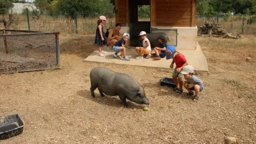 Vacances d'été - 24 au 28 juillet 2023