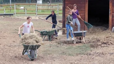 Mercredis d'octobre 2019