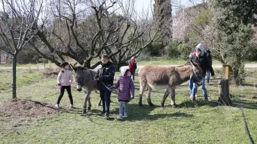 Vacances d'hiver - 26 février au 2 mars 2018