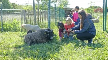 Mercredis d'avril 2017