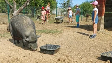Vacances d'été - 29 juillet au 2 août 2019