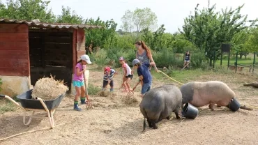 Vacances d'été - 16 au 19 août 2016