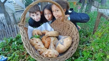 Mercredis de novembre 2021