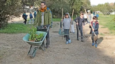 Mercredis de novembre 2019