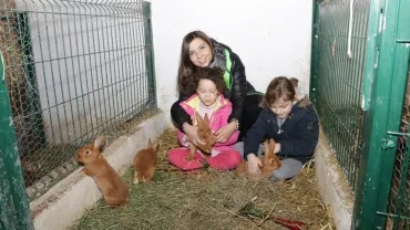 Mercredis de janvier 2017