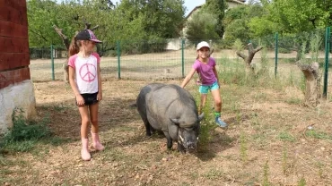 Vacances d'été - 16 au 19 août 2016