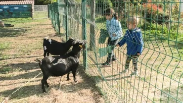 Vacances d'automne - 25 au 29 octobre 2021