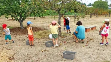Vacances d'été - 26 au 30 août 2019