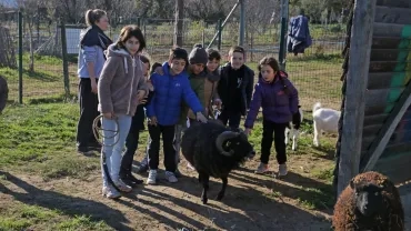 Mercredis de janvier 2017