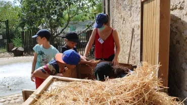 Vacances d'été - 17 au 21 août 2020