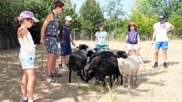 Vacances d'été - 29 juillet au 2 août 2019