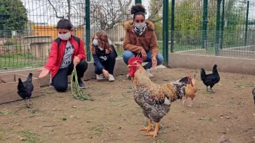 Mercredis de mars 2021