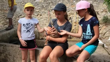 Vacances d'été - 8 au 12 août 2016