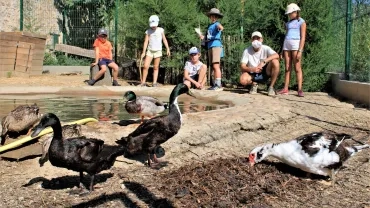 Vacances d'été - 24 au 28 août 2020