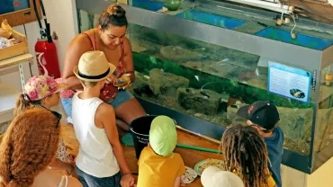 Vacances d'été - 29 juillet au 2 août 2019