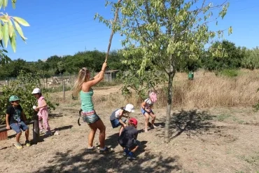 Vacances d'été - 21 au 25 août 2017