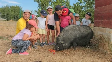 Vacances d'été - 5 au 9 août 2019