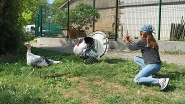 Vacances de printemps - 2 au 5 mai 2023
