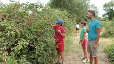 Vacances d'été - 2 au 6 août 2021