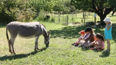 Vacances d'été - 11 au 13 juillet 2016