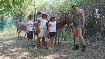 Vacances d'été - 15 au 19 juillet 2024
