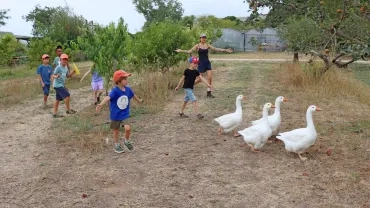 Vacances d'été - 12 au 14 août 2024