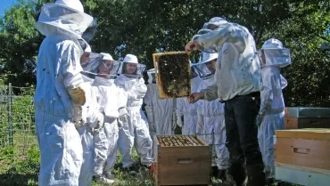 Mercredis de mai 2019
