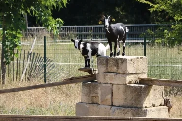 Vacances d'été - 23 au 27 juillet 2018