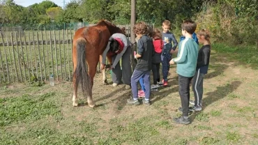 Mercredis d'octobre 2020
