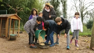 Mercredis de novembre 2018
