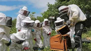 Mercredis de mai 2021