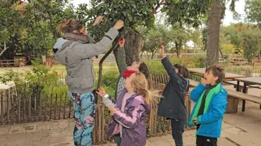 Mercredis de novembre 2019