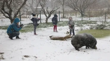 Vacances d'hiver - 26 février au 2 mars 2018