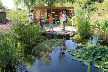 Vacances d'été - 27 au 31 août 2018