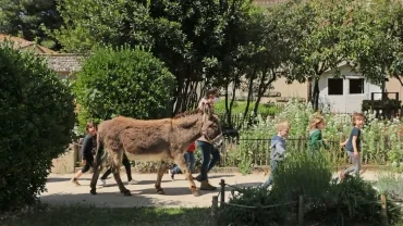 Mercredis de mai 2021