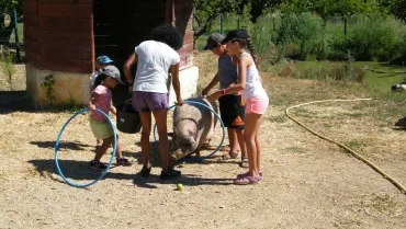 Vacances d'été - 1er au 5 août 2016