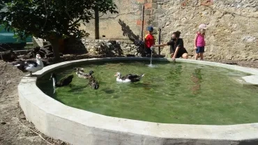 Vacances d'été - 16 au 20 août 2021