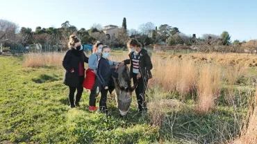 Mercredis de janvier 2022
